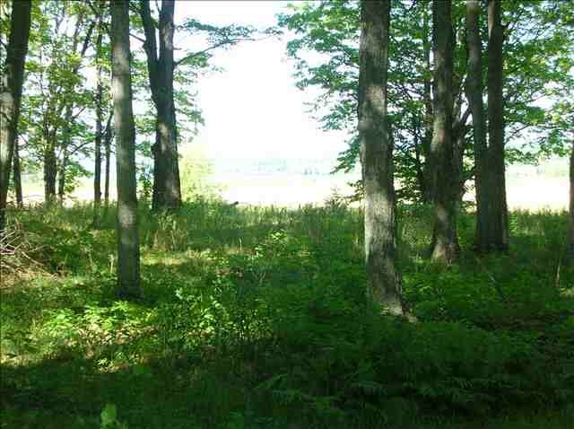 Property Photo: 5891 Sunset Blvd. MI 49706