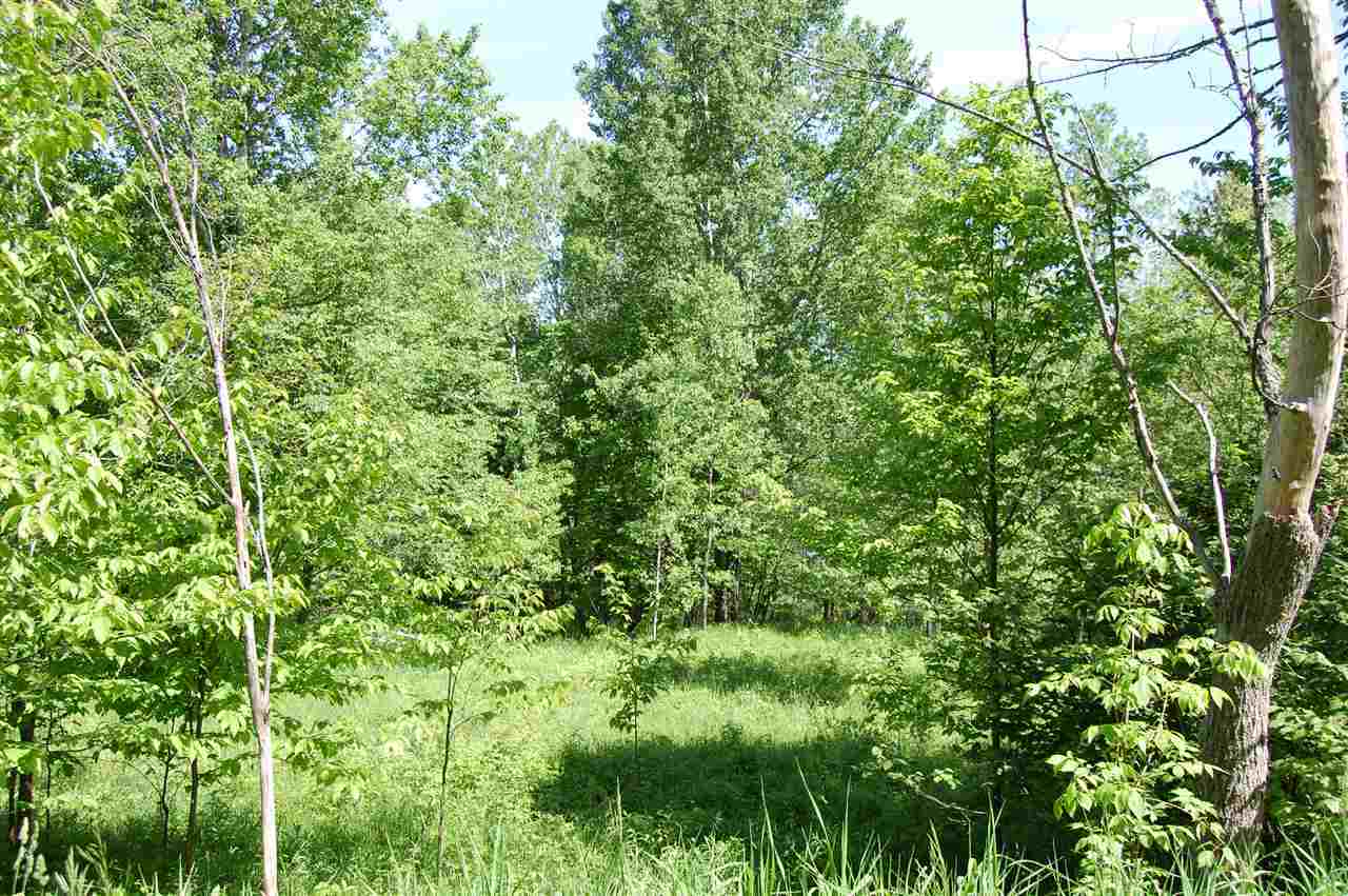 Property Photo: 0 Valley MI 49706
