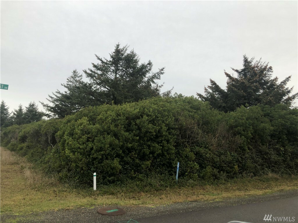 Property Photo:  446 Ocean Shores Blvd  WA 98569 