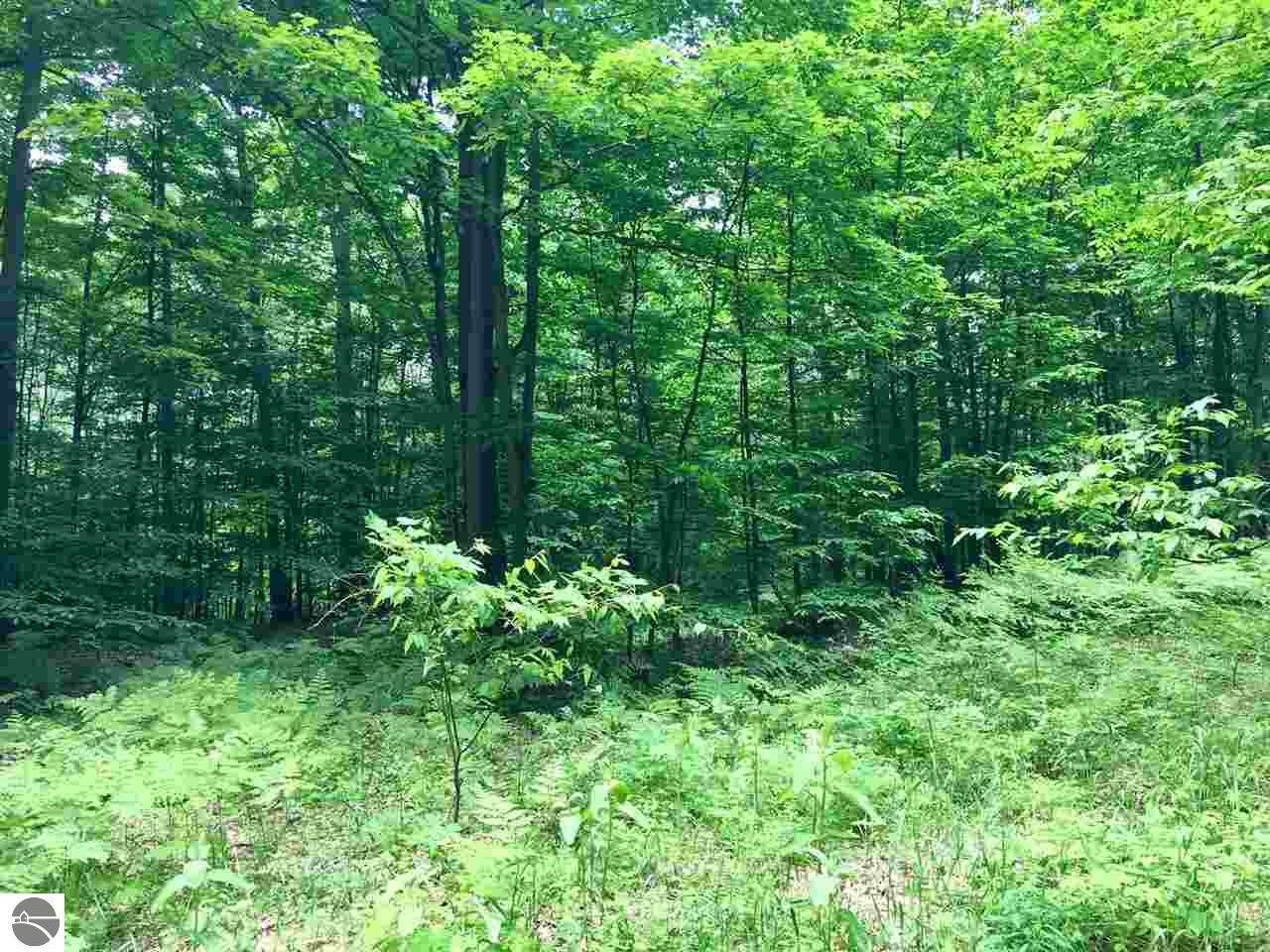 Property Photo:  Lot 15 Wind Ridge  MI 49615 