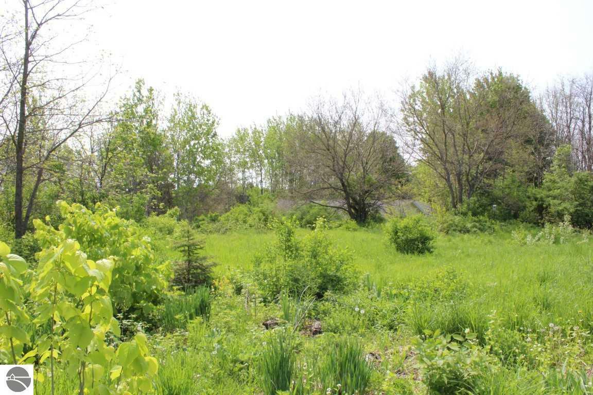 Property Photo:  Harris Road  MI 49684 