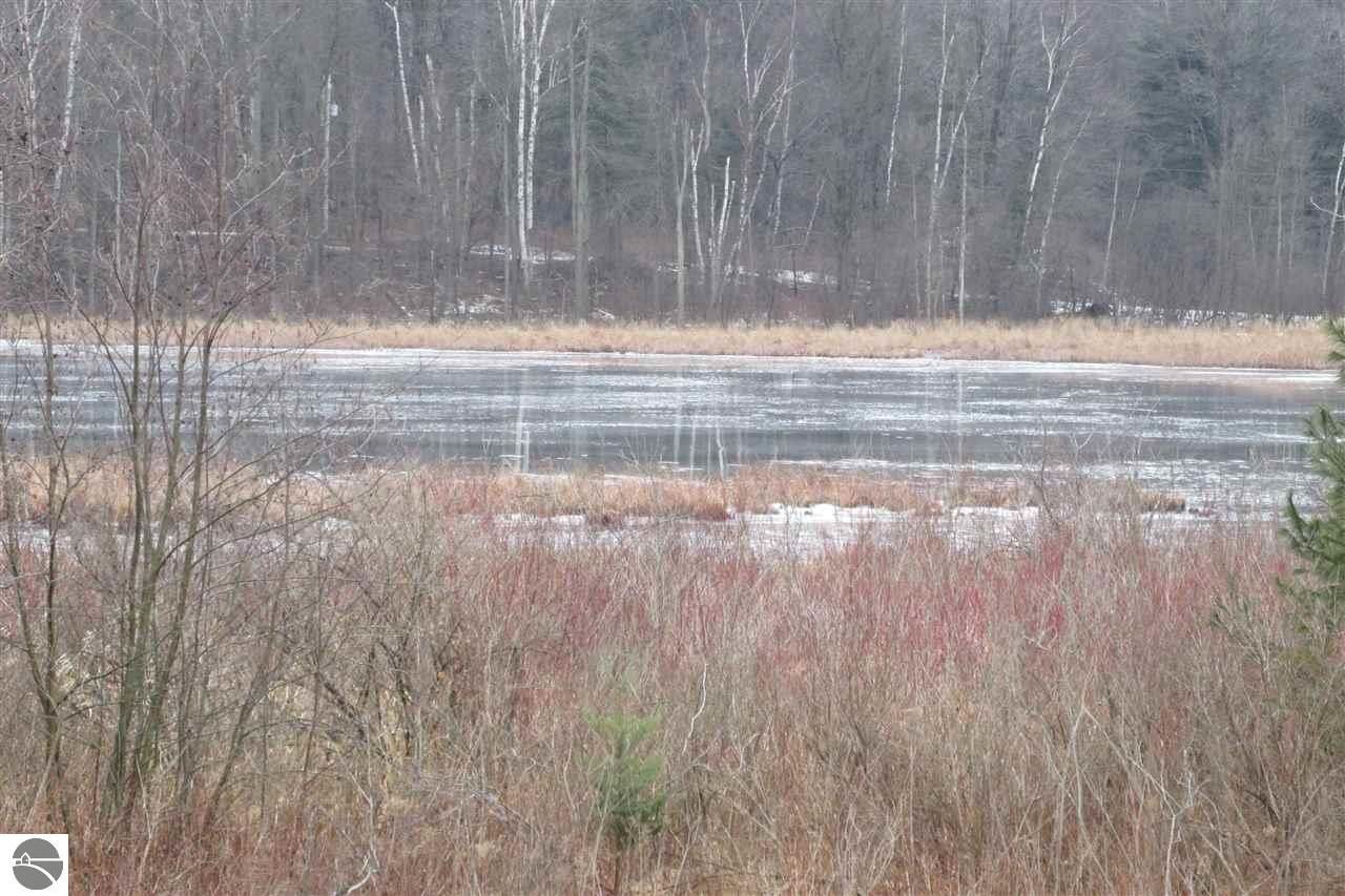 Property Photo: 0 20 Mile Road MI 49665