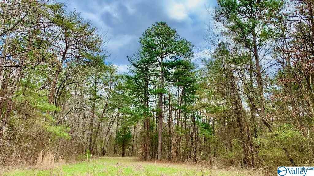 Property Photo:  Lot 9 Mack Brown Road  AL 35754 