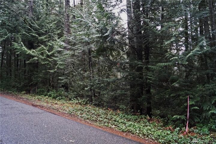 14 SE Arcadia Shores Rd  Shelton WA 98584 photo