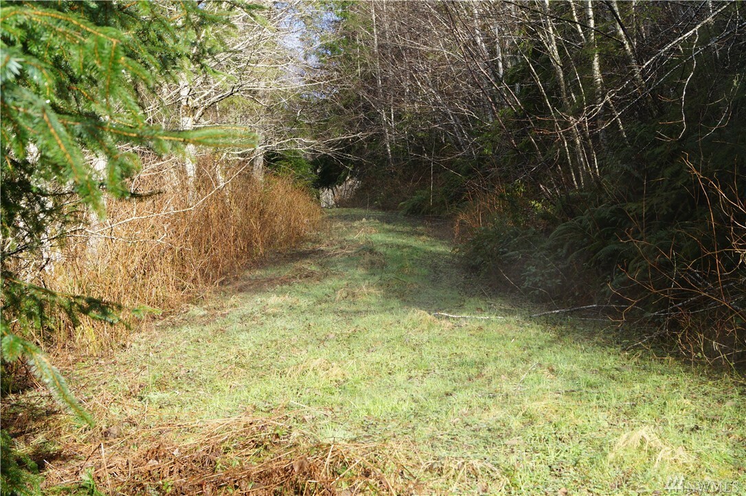 Property Photo:  End Of Hirschbeck Heights Rd  WA 98520 