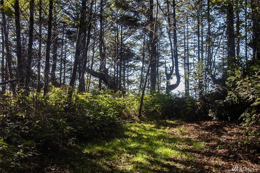 Property Photo:  8 S Sunset Beach Lane  WA 98550 