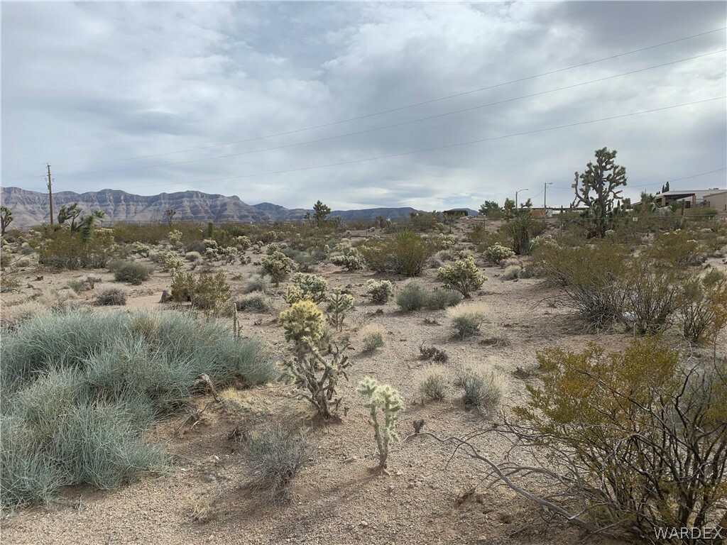 Property Photo:  210 W Havasu Drive  AZ 86444 