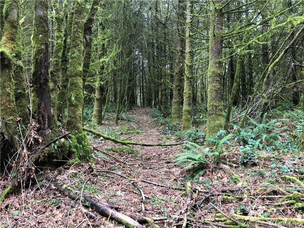 Property Photo:  10648 Katieann Lane SE  WA 98513 