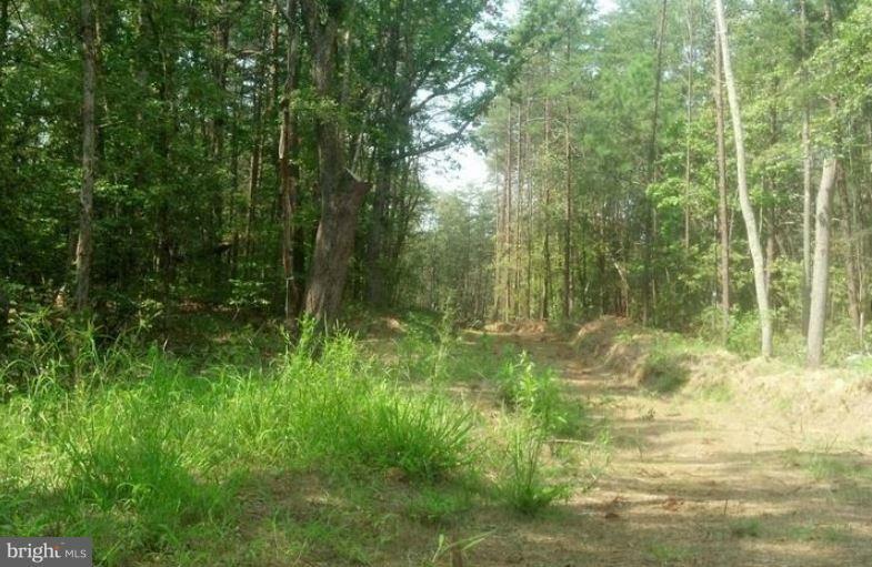 Property Photo:  Lot 56-46 Sandy Ridge Road  VA 22405 