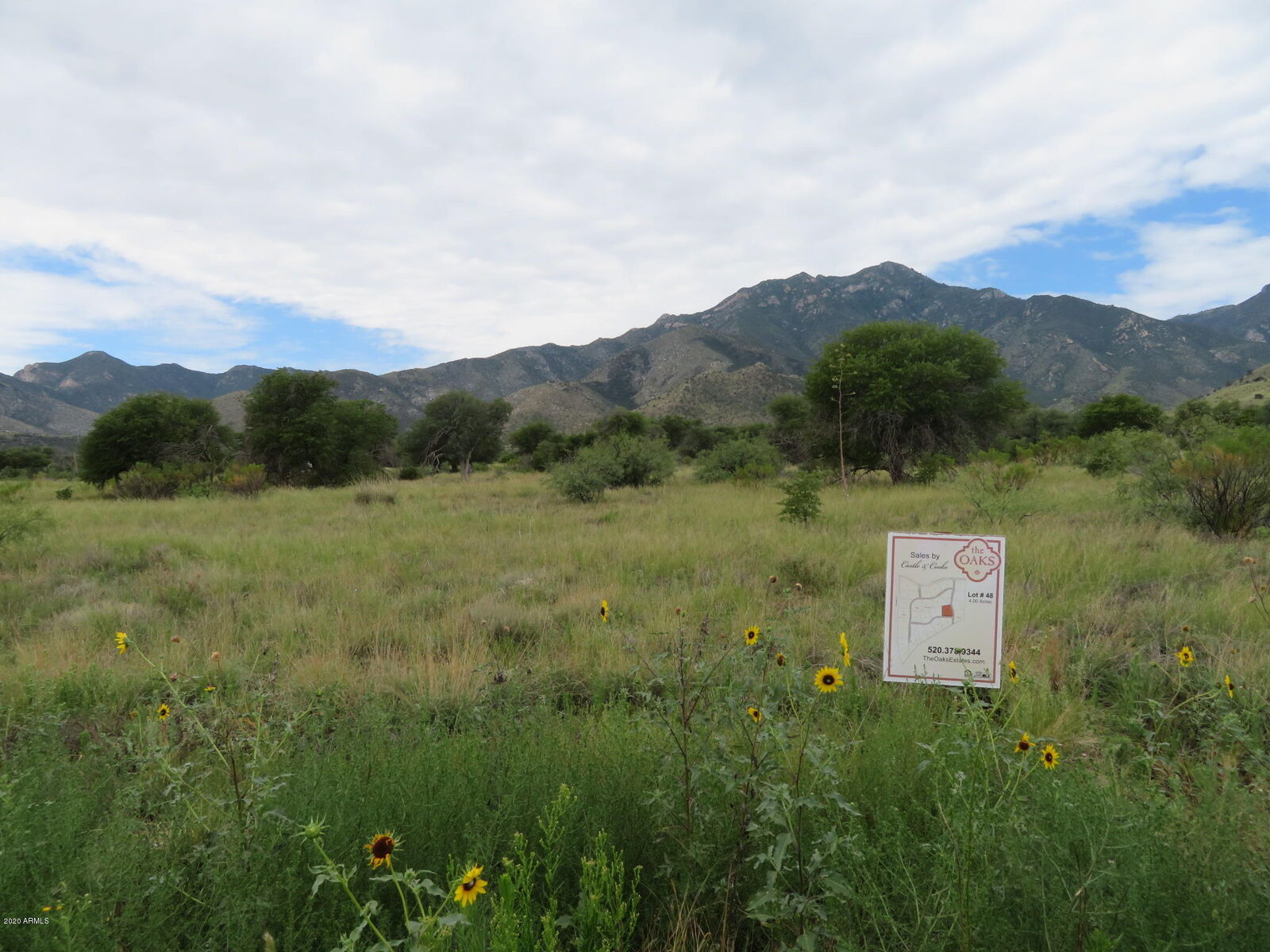 Property Photo: Lot 48 Seven Oaks Drive AZ 85615