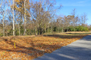 Property Photo: E Shore Drive TN 37854