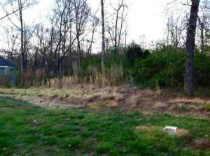 Property Photo:  Lot 25 County Road 7030  TN 37303 