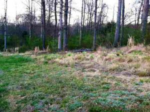 Property Photo:  Lot 23 County Road 7030  TN 37303 