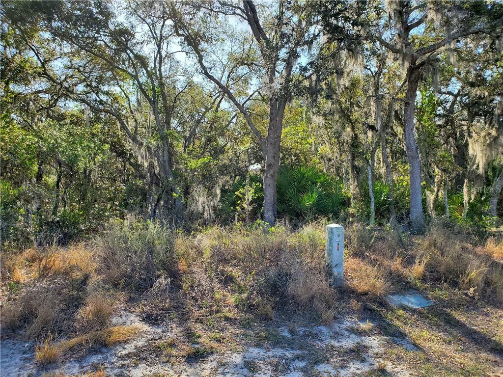 Property Photo:  424 Ohio Lane  FL 34759 