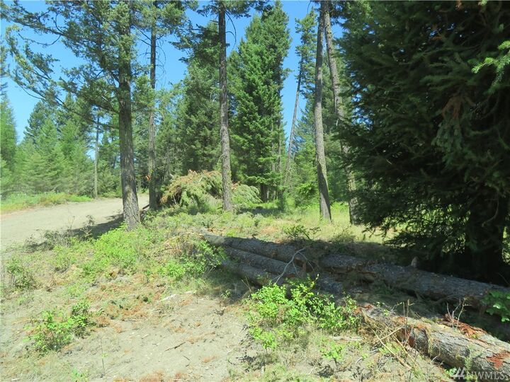 Property Photo:  Lot 7 Bonaparte Run Rd  WA 98859 