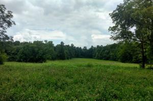 Property Photo:  County Road 516  TN 37329 