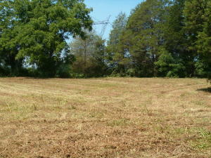 Property Photo:  Sugar Grove Valley Rd  TN 37748 