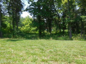 Property Photo:  379 Walking Horse Trail Lot 514  TN 37854 