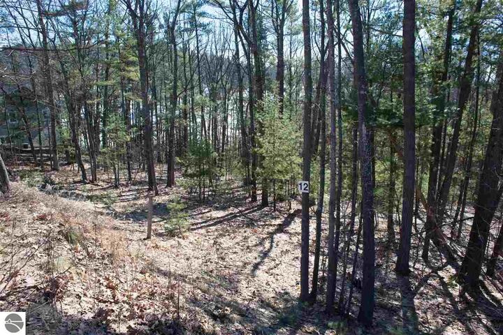 2916 Ridge Run Road  Traverse City MI 49686 photo