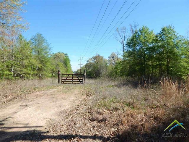 Property Photo:  Tbd 55 Acres Cherokee Trace  TX 75644 