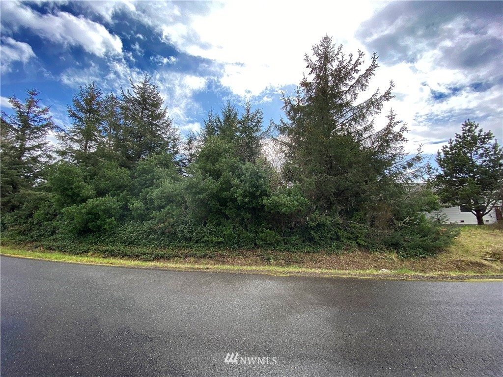Property Photo: 117 N Wynoochee Drive SW WA 98569