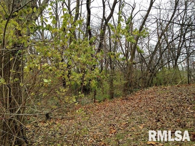 Lot 86 Bacon  Peoria IL 61614 photo