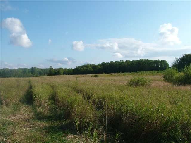 Property Photo:  0 Ferry  MI 49720-0000 