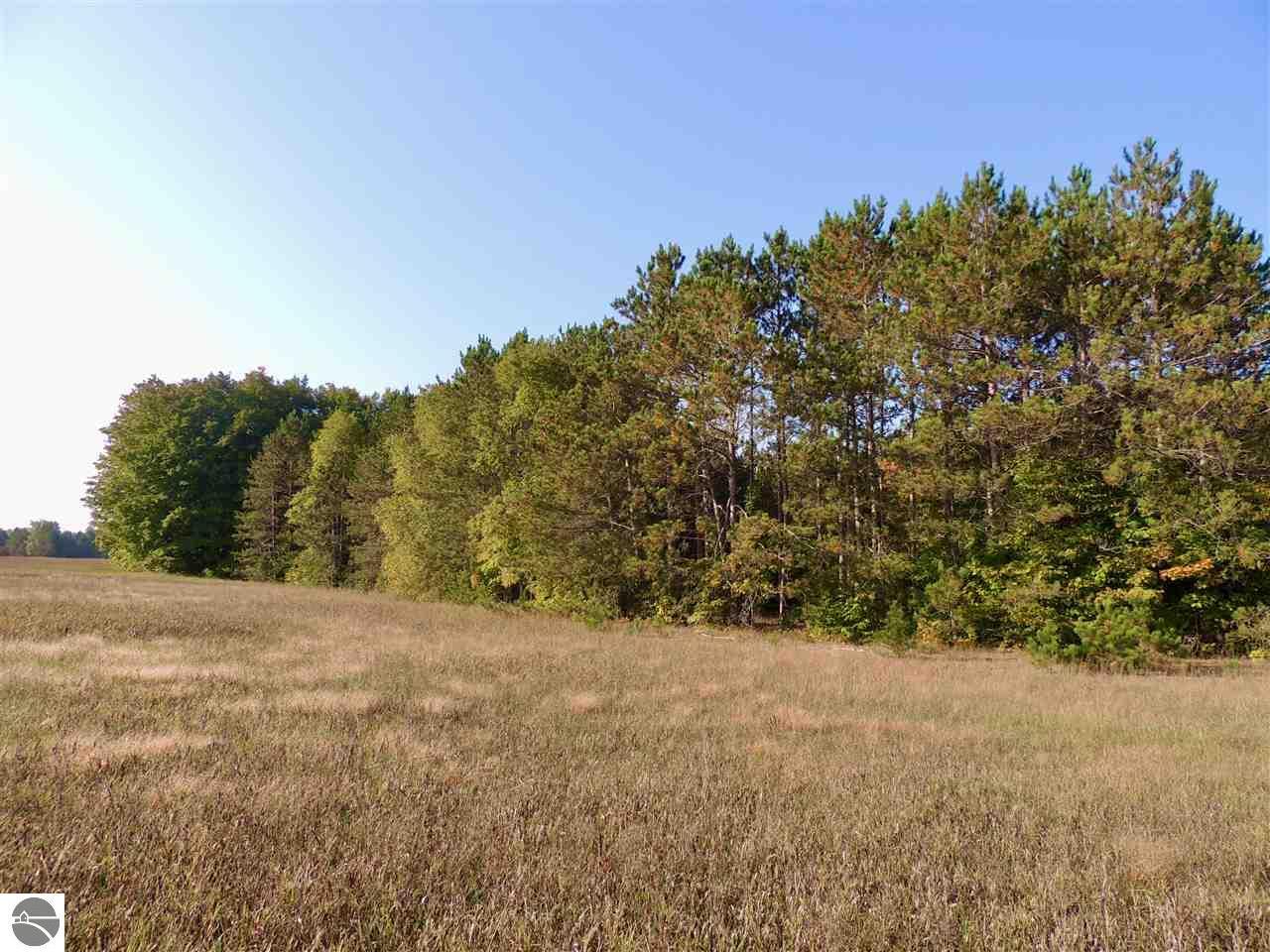 Property Photo: 000 Whitetail Woods Drive MI 49650
