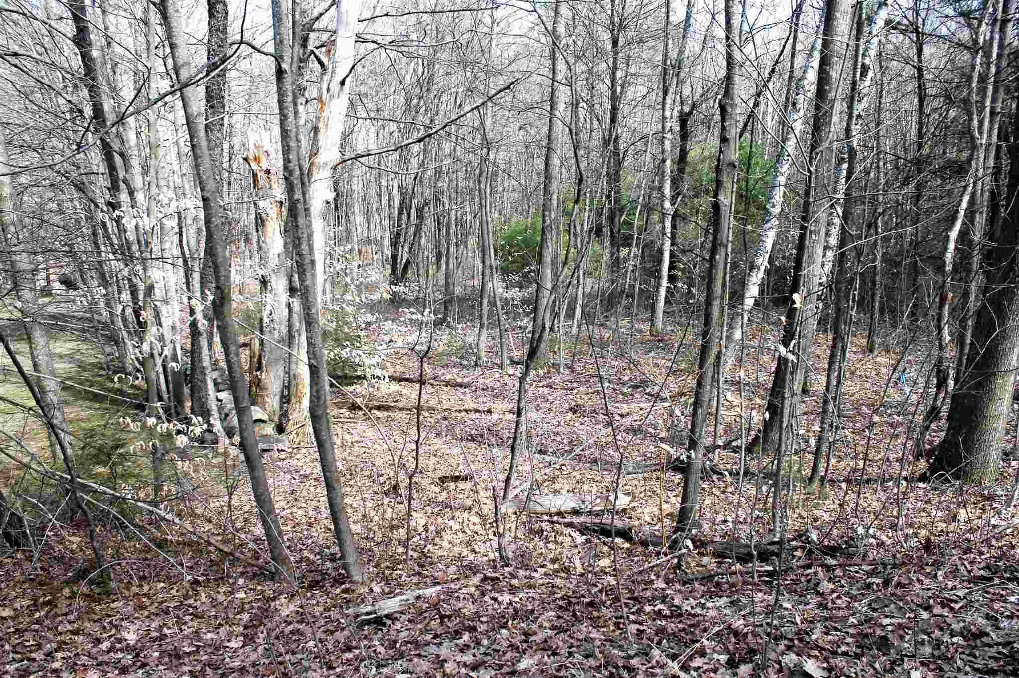 Property Photo:  Map 5 Lot 32-2 Weare Road  NH 03070 