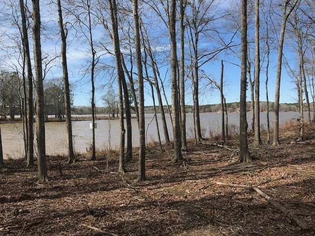 Property Photo: Lot 22 Bayside GA 30642