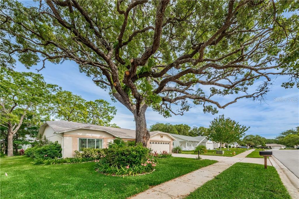 Property Photo: 10804 Cedar Breaks Drive FL 34668
