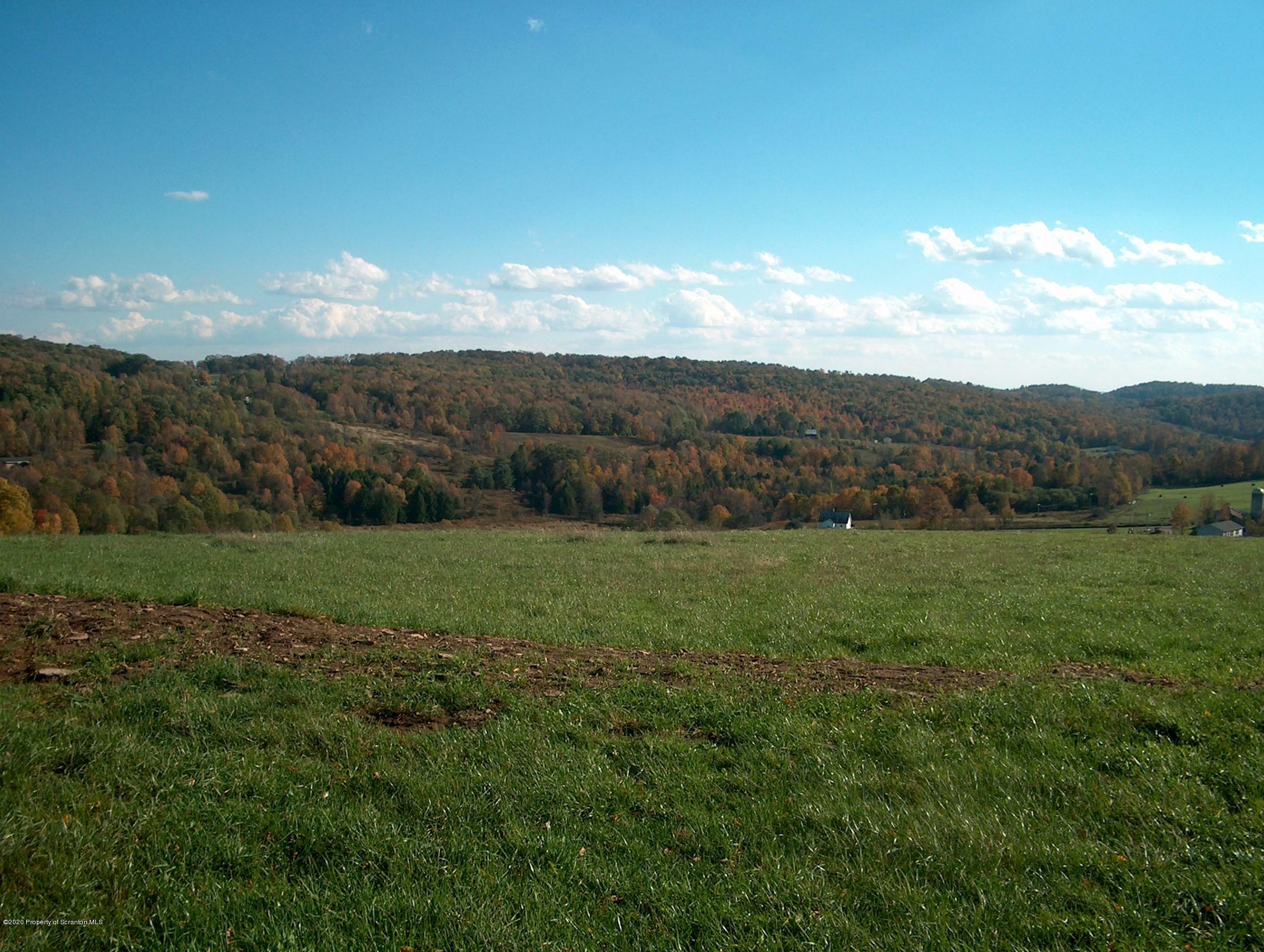 Property Photo:  402 Bare Valley Road  PA 18801 