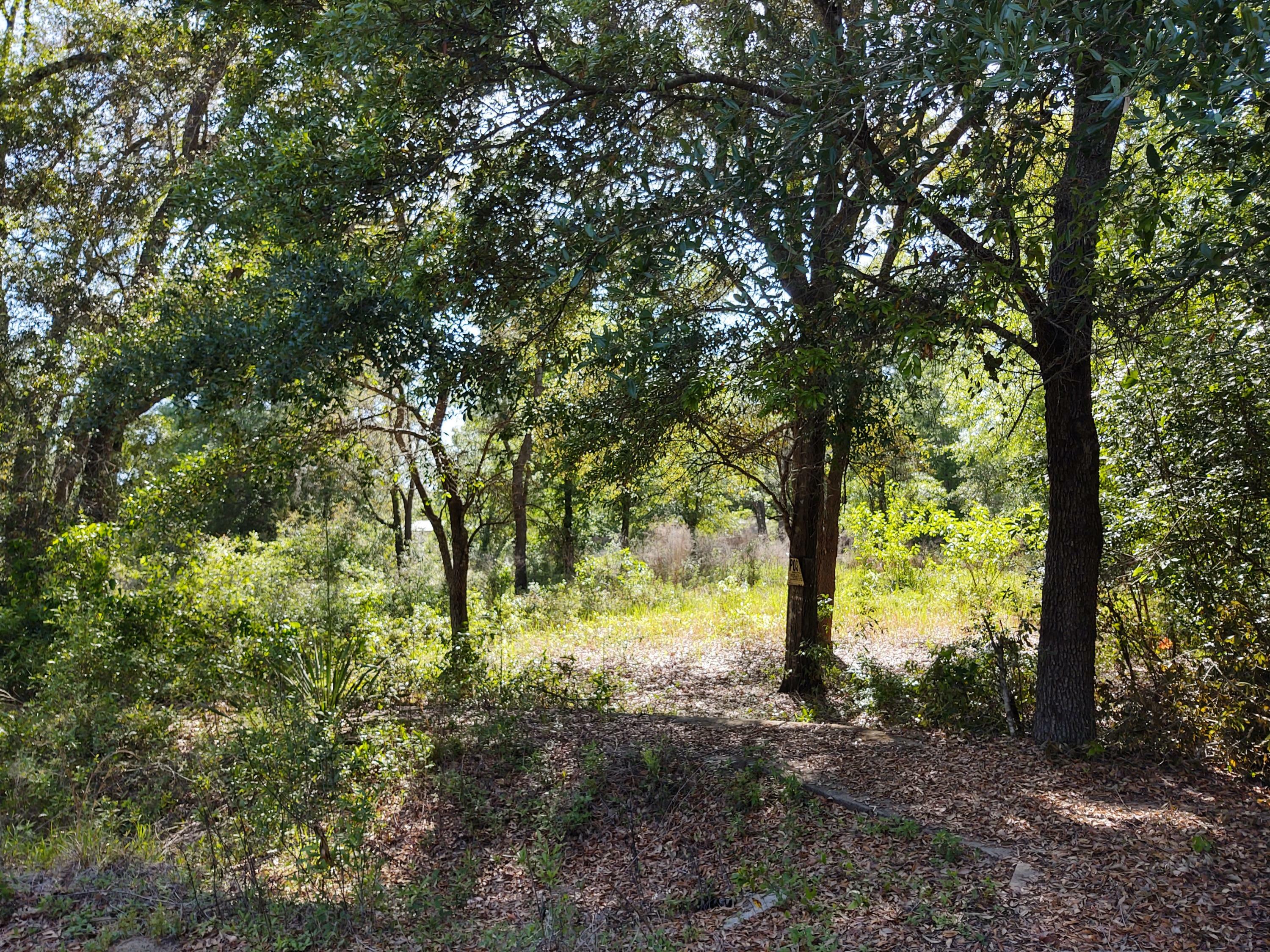 Property Photo: Lot 5 Justin Court FL 32439