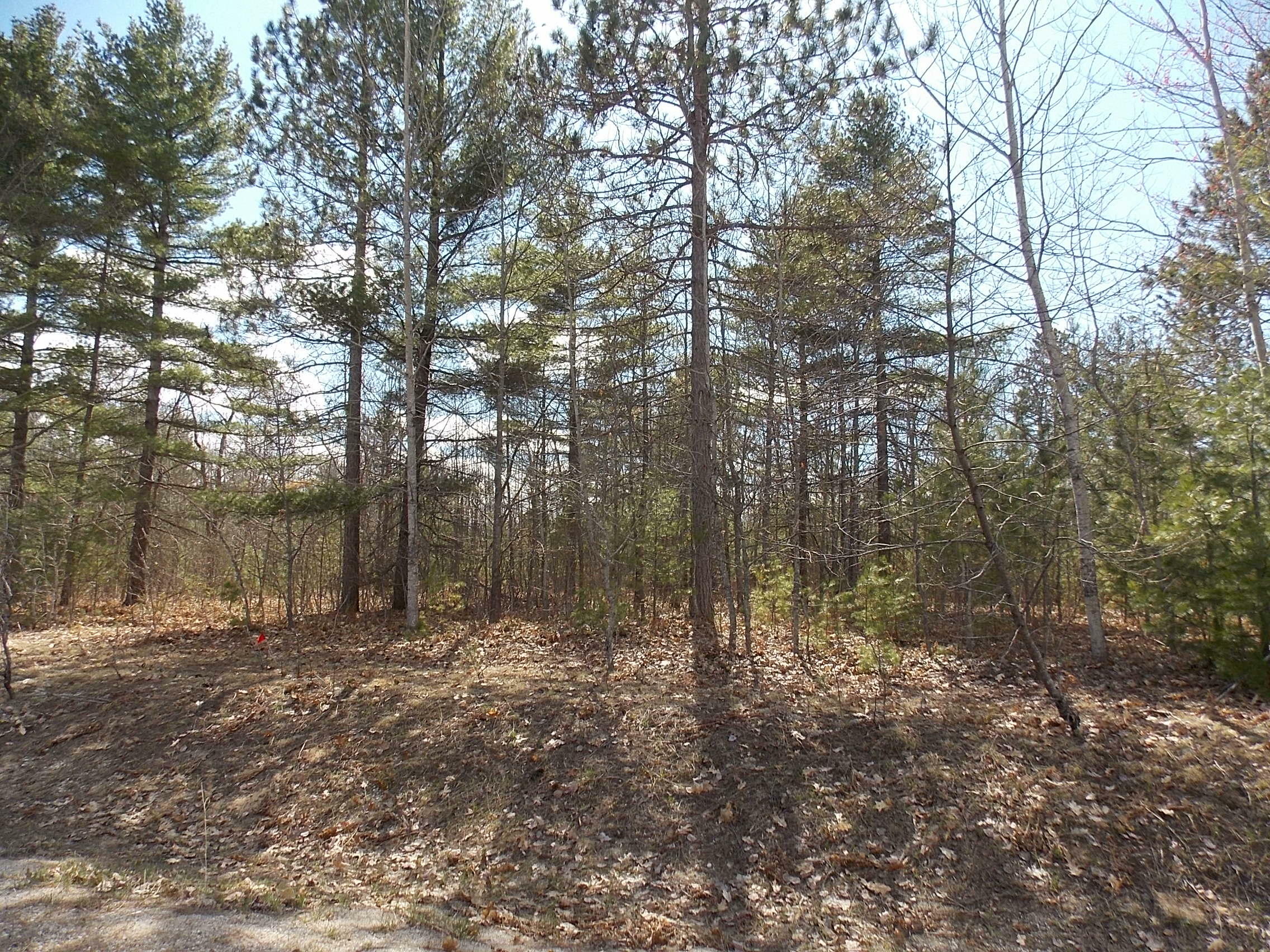 Property Photo:  Ridge Run Road Lot 3  MI 49721 