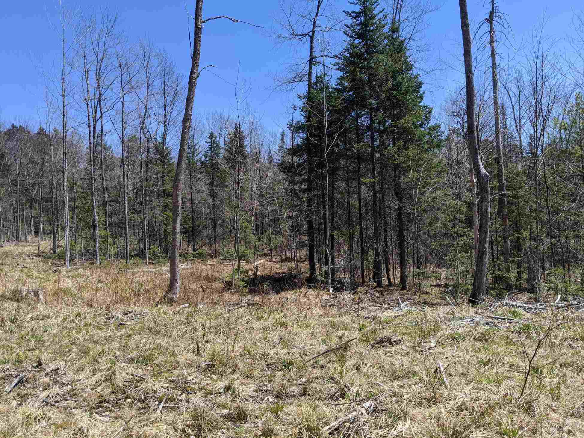 Property Photo:  0 North Wilmot Road  NH 03287 