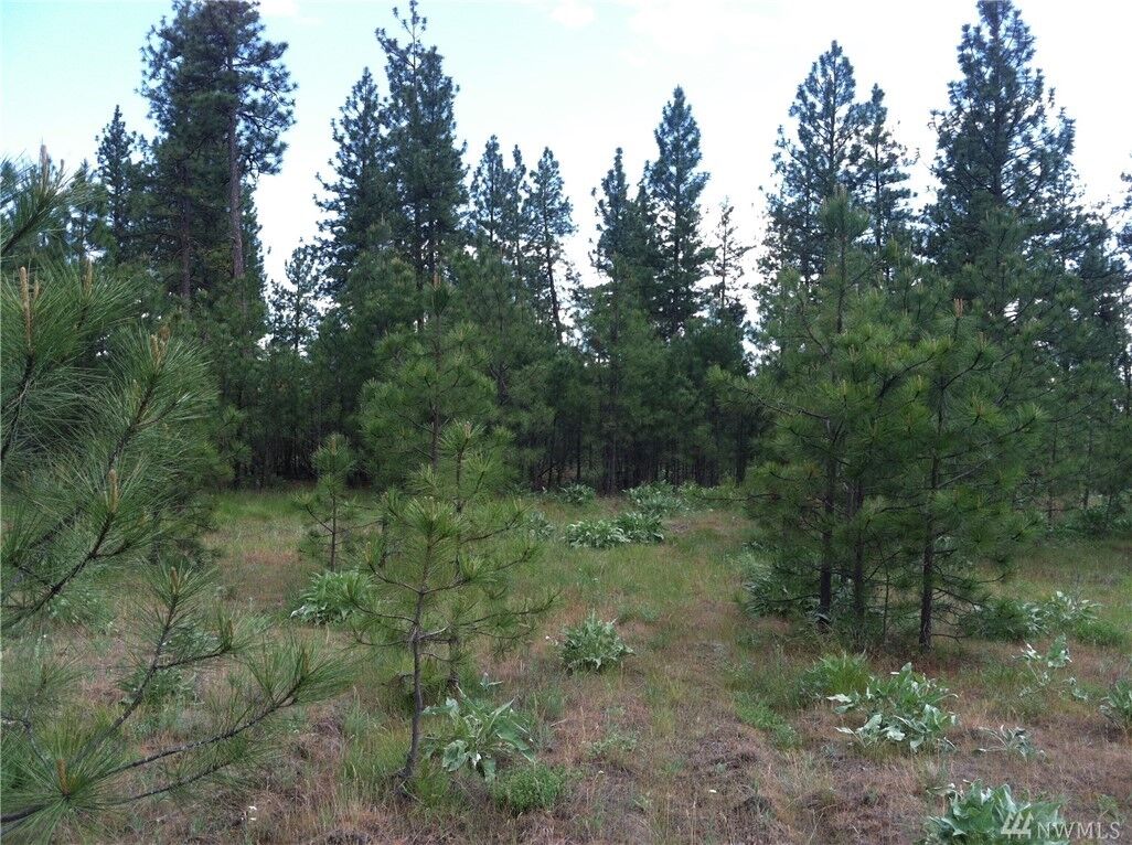 Property Photo:  0 Highway 291  WA 99034 