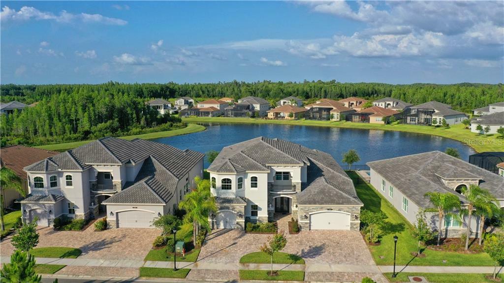 Property Photo:  2568 Oakwood Preserve Drive  FL 33543 