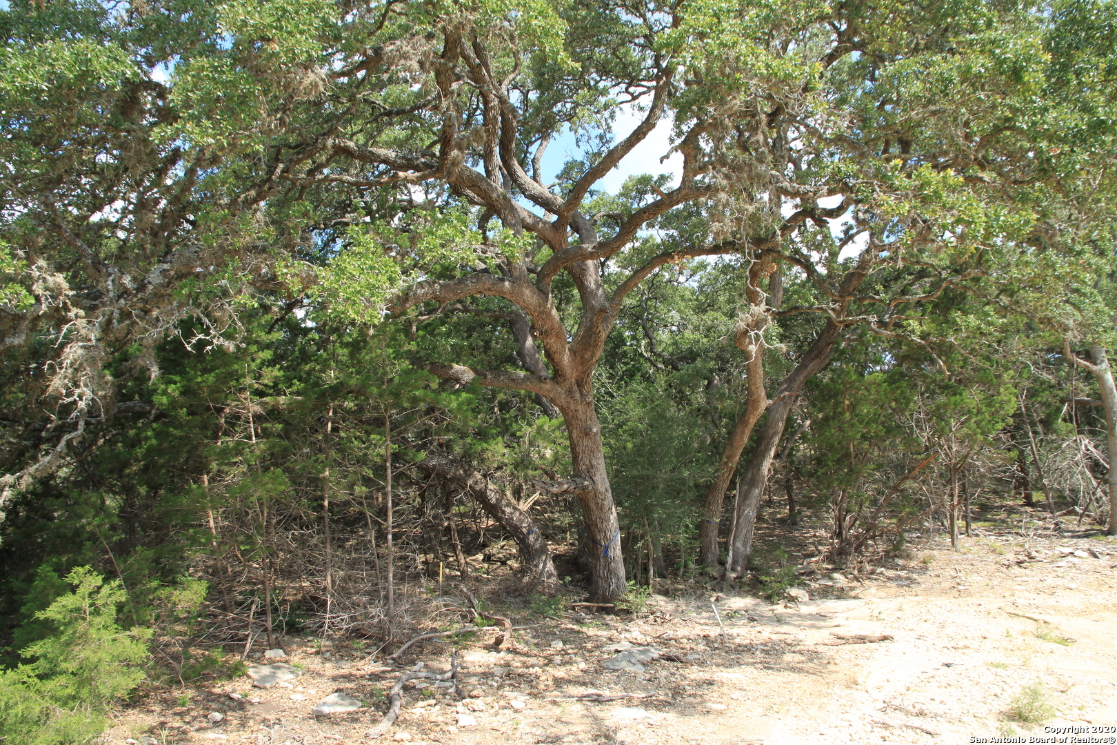 Property Photo:  Tract 29 &Amp 30 Hwy 132 N  TX 78052 