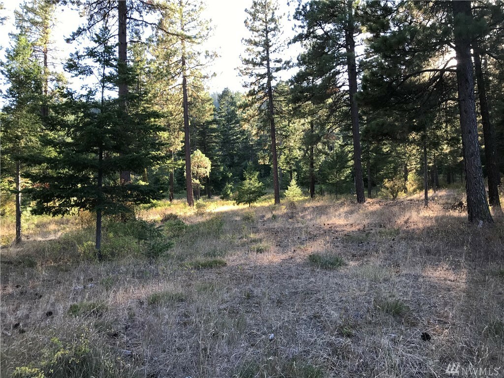 Property Photo:  Lot 4B Hidden Valley Terrace  WA 98922 