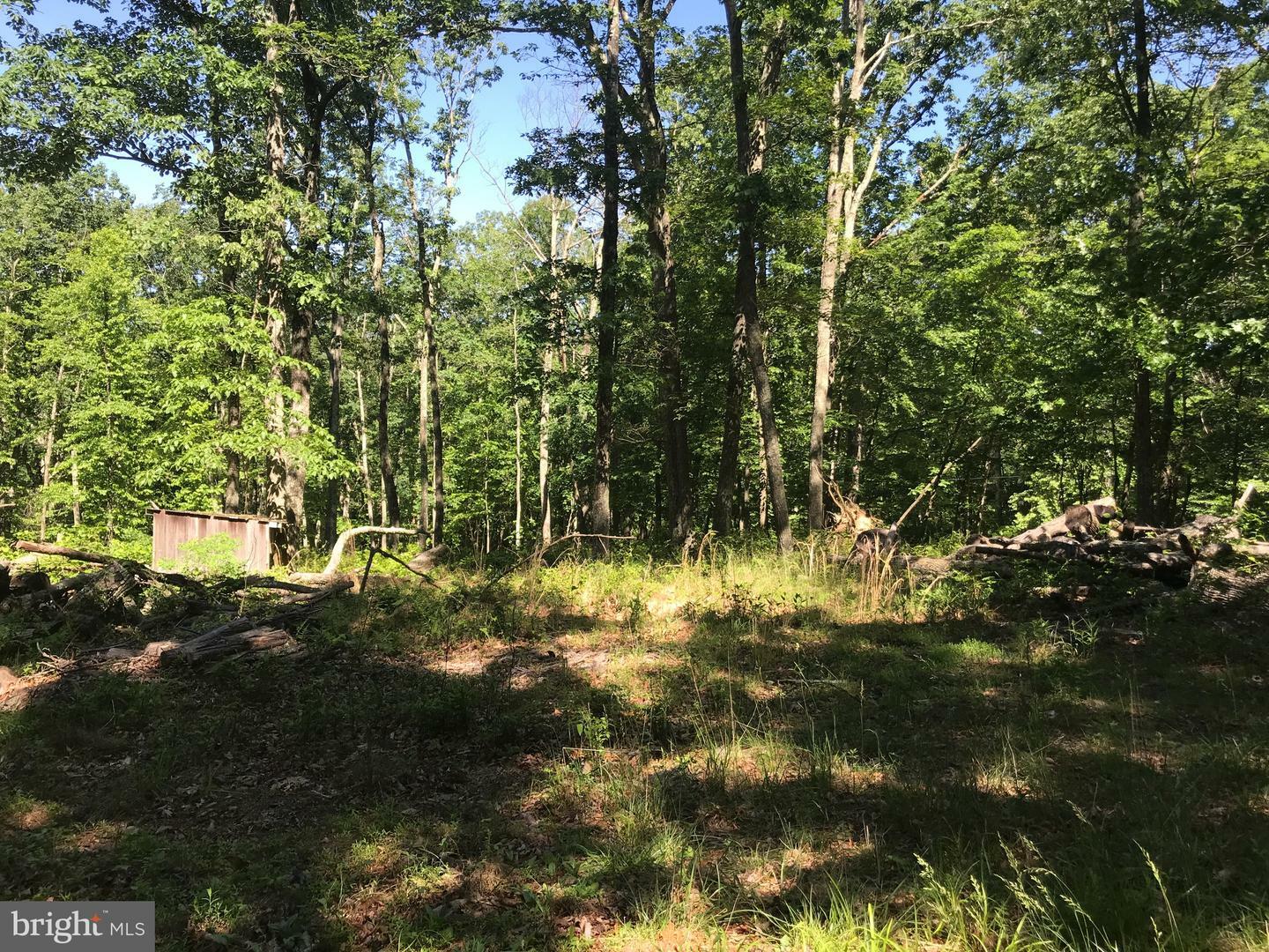 Property Photo:  Brooklyn Way Lot 13  WV 25422 