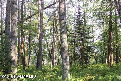 Property Photo:  Tbd Lakeridge Lane NW  MN 56601 