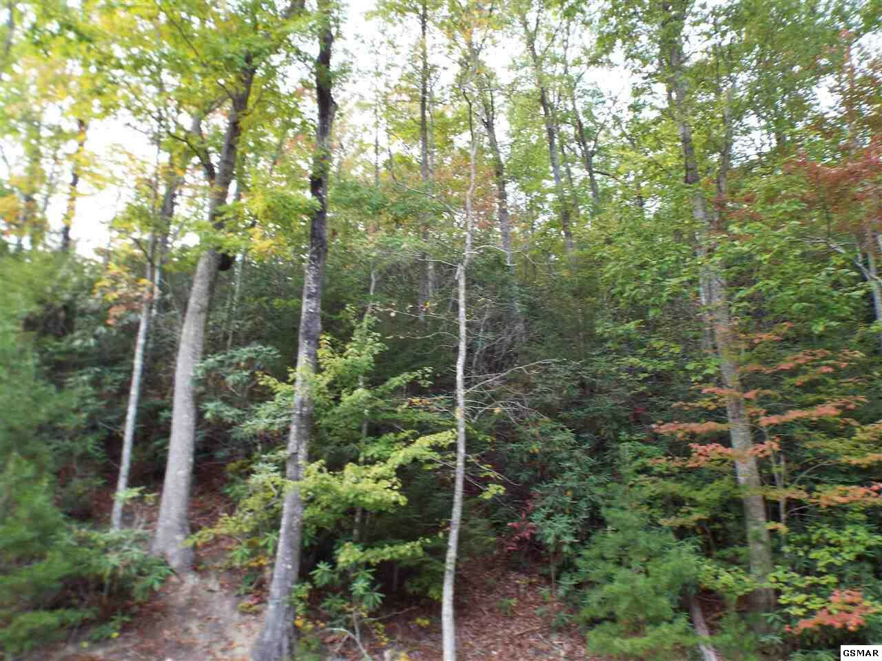 Property Photo:  Lot 181E Jones Creek Lane  TN 37862 