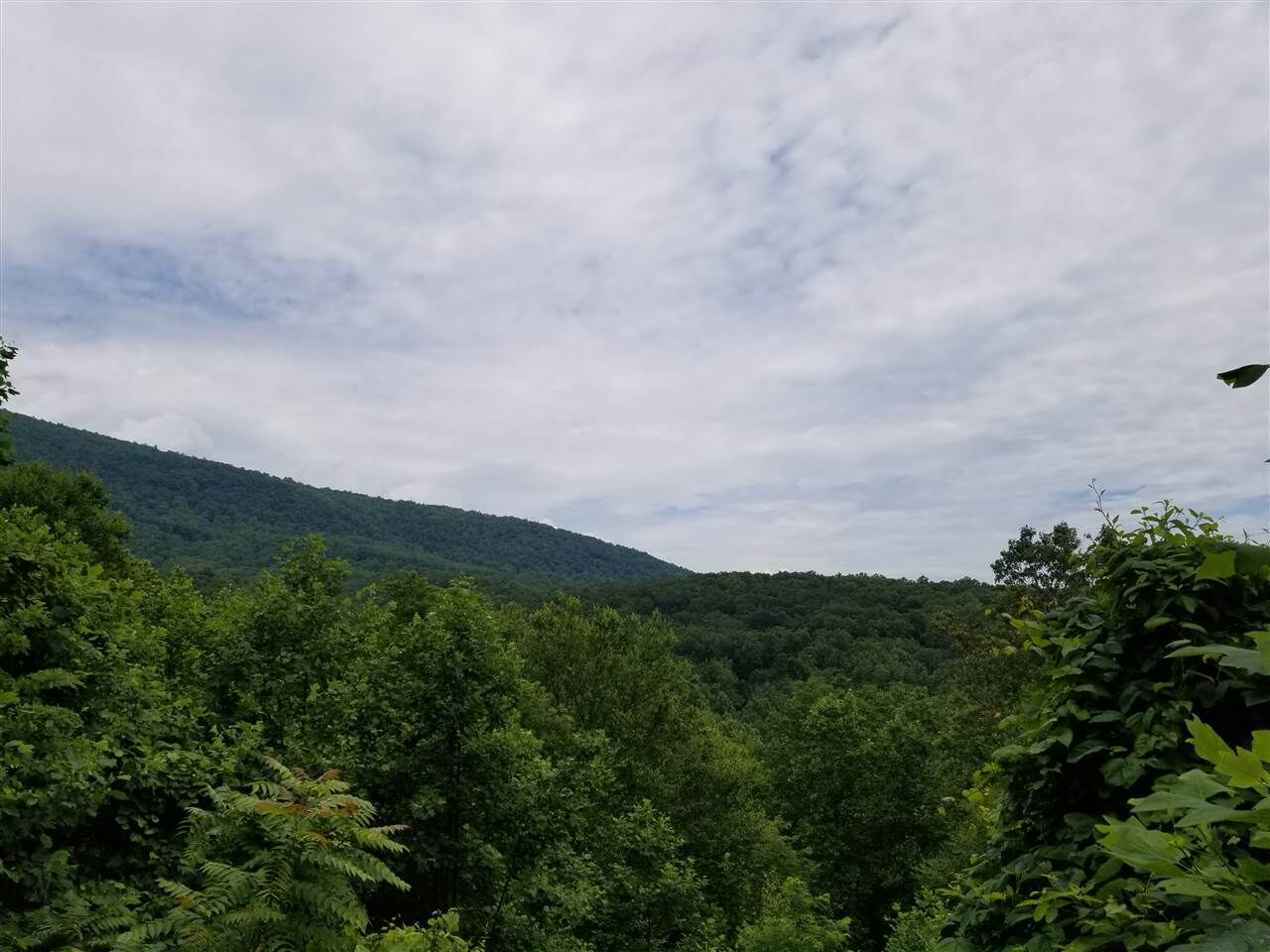 Property Photo: 120 Deborah Ln VA 22973
