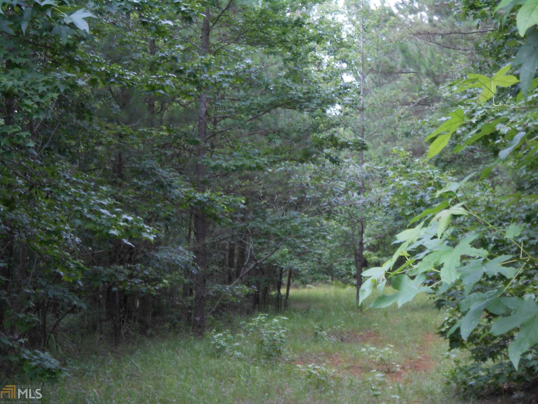 Property Photo:  0 Ridge  GA 30056 