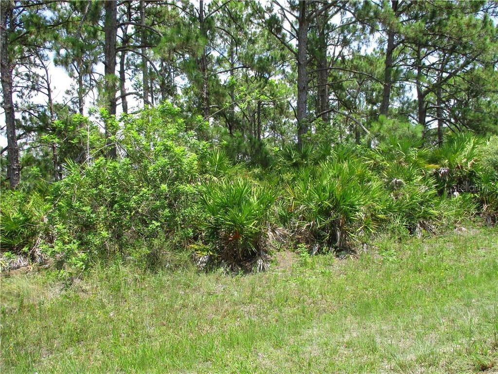 Property Photo:  3334 El Salvador Road  FL 33981 