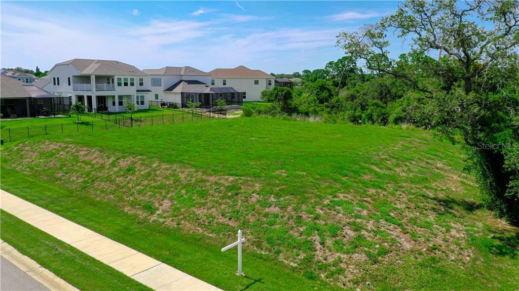 Property Photo: 703 Loquat Drive FL 34689