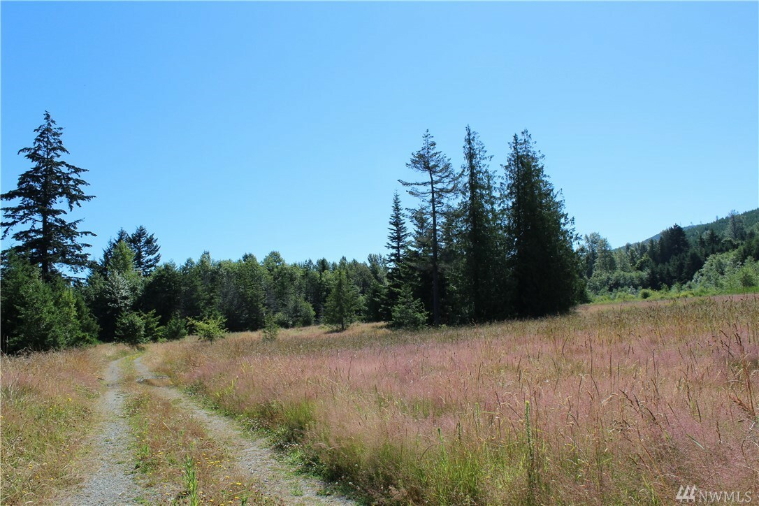 Property Photo:  999 Laird Rd Lot 8  WA 98363 