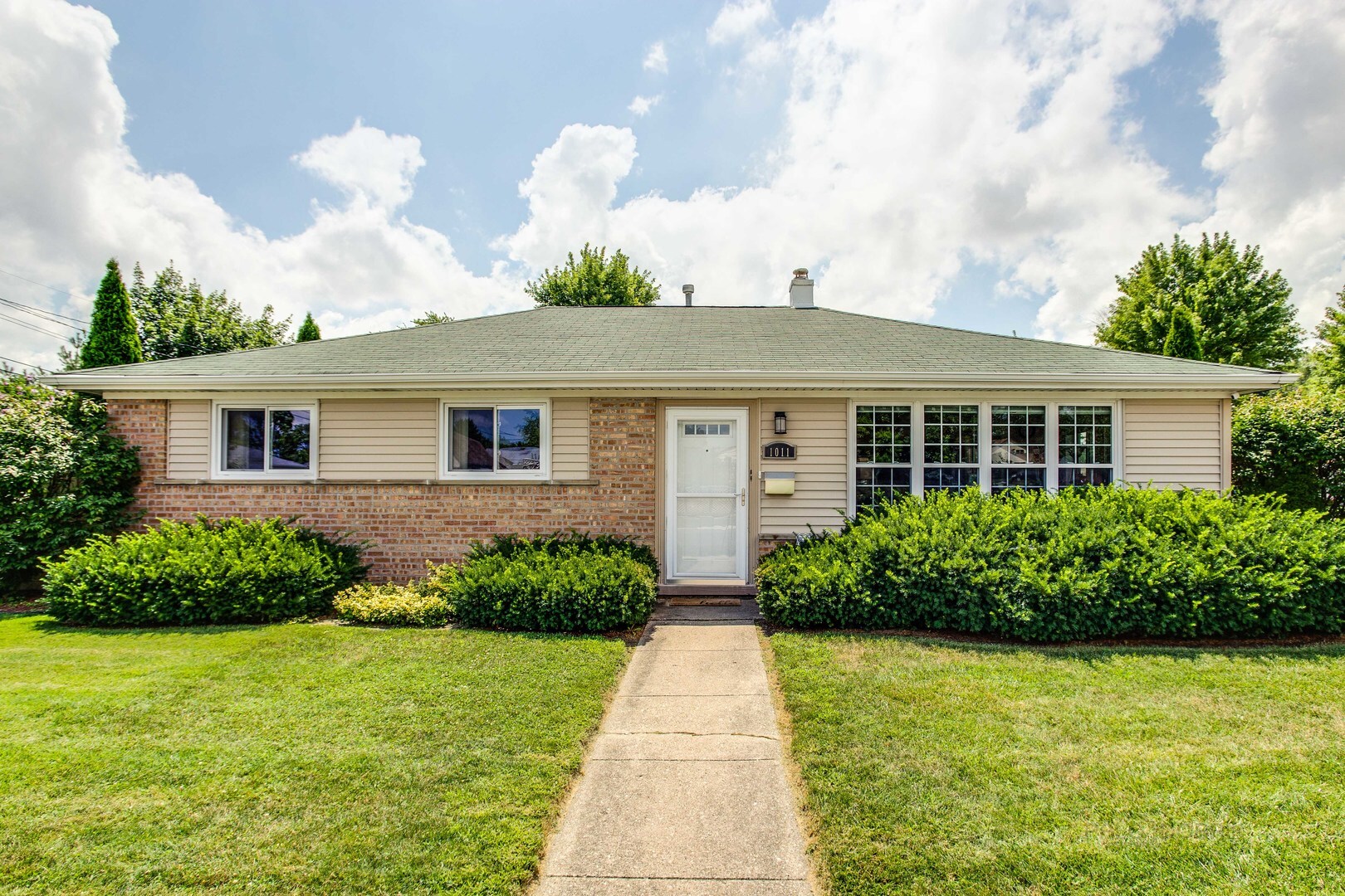 Property Photo:  1011 East Villa Drive  IL 60016 