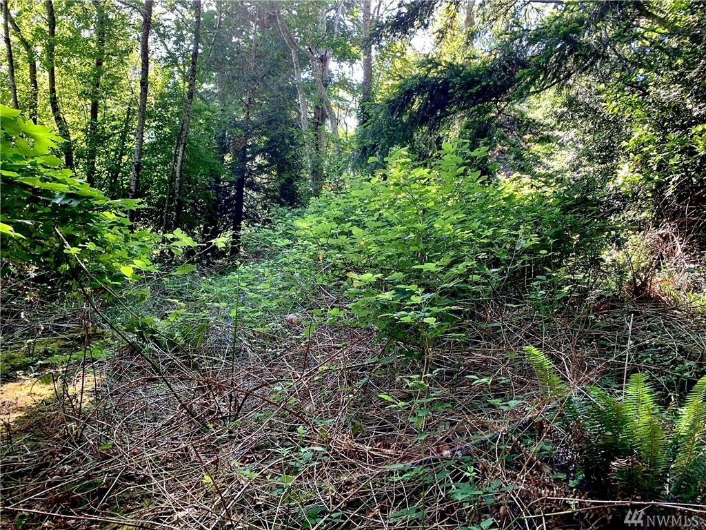 Property Photo:  10714 SW 111th Place  WA 98070 