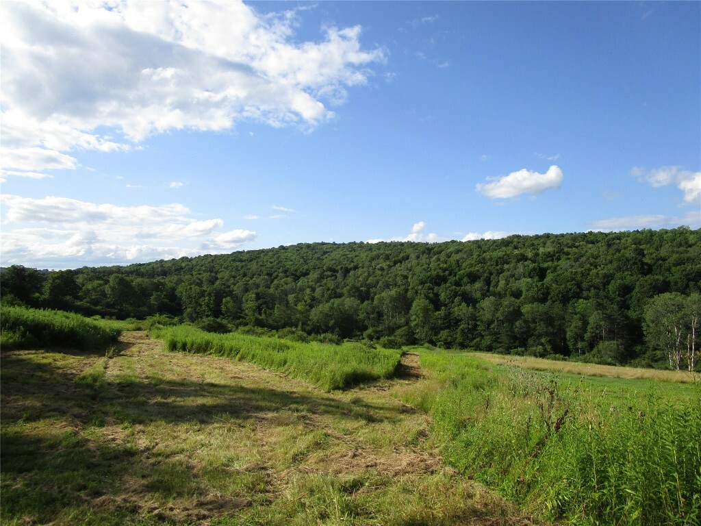 Property Photo:  00 Indian Brook Road  NY 13778 